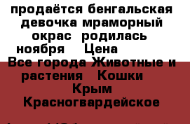 продаётся бенгальская девочка(мраморный окрас).родилась 5ноября, › Цена ­ 8 000 - Все города Животные и растения » Кошки   . Крым,Красногвардейское